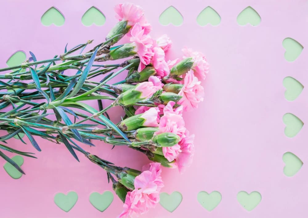 Flores