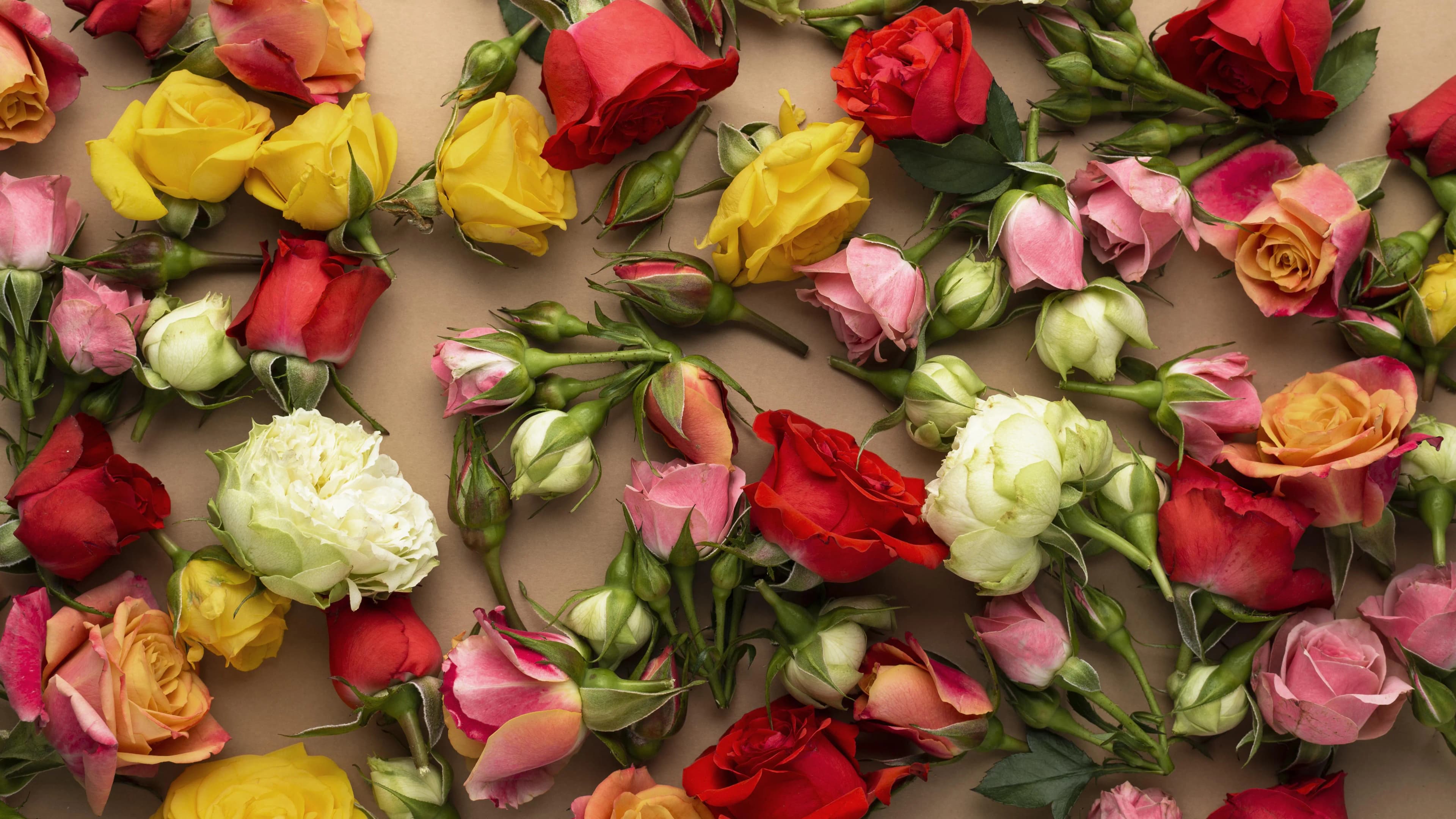 Flores